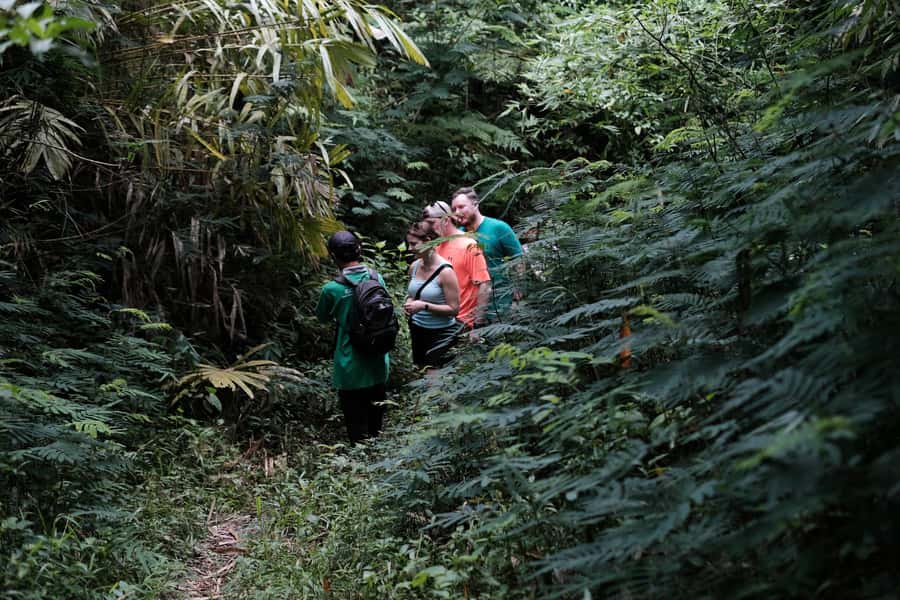Mt. Merapi Majesty: Soft Trek and Botanic Village Tour - Seeing Mount Merapi without chasing a summit