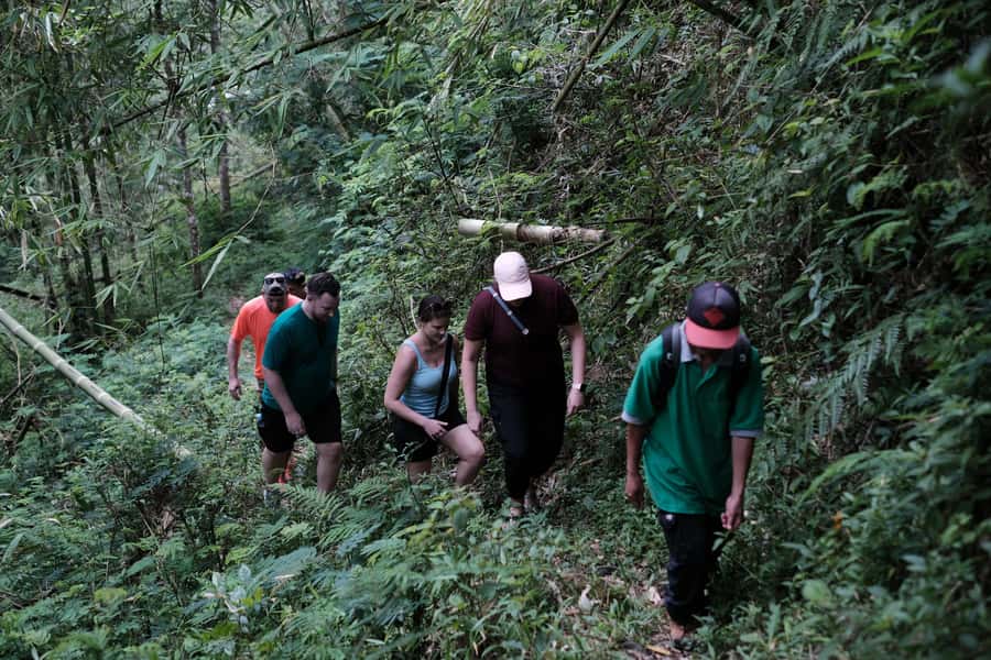 Mt. Merapi Majesty: Soft Trek and Botanic Village Tour - What the $68 price includes