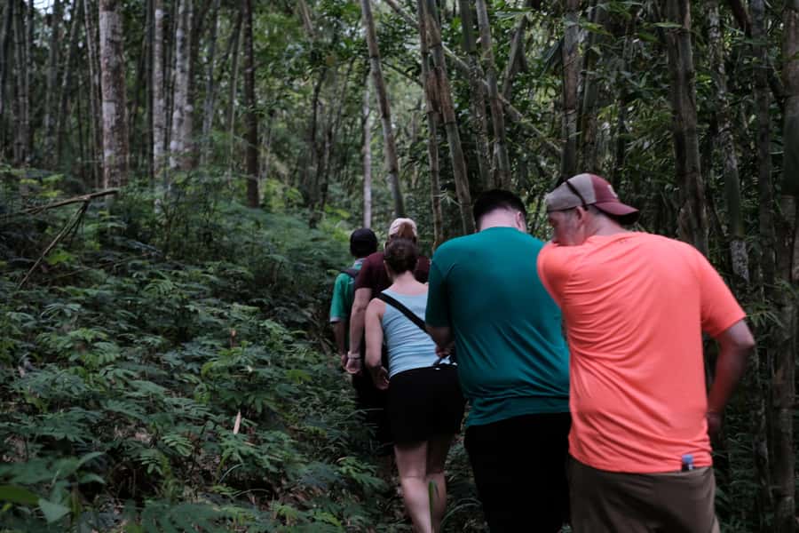 Mt. Merapi Majesty: Soft Trek and Botanic Village Tour - A traditional village with time to look around