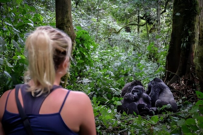 Multi Day Private Gorillas and Chimpanzee Trekking Tour in Uganda - Key points at a glance