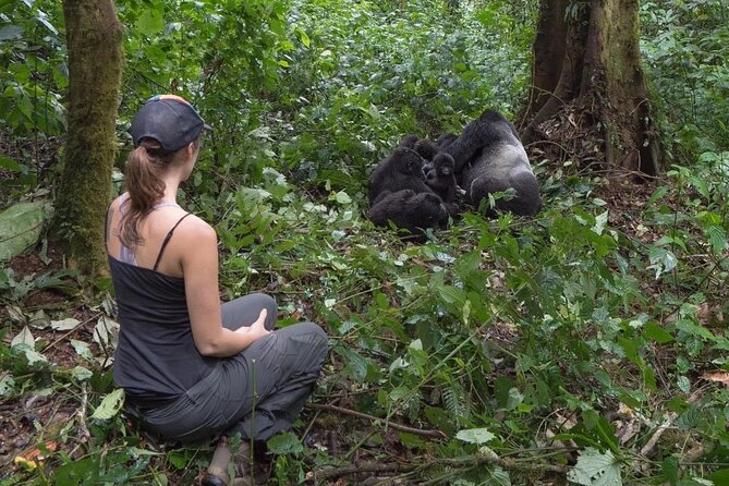 Multi Day Private Gorillas and Chimpanzee Trekking Tour in Uganda - Day 3: Chimpanzees at Kibale and the Bigodi Wetland walk