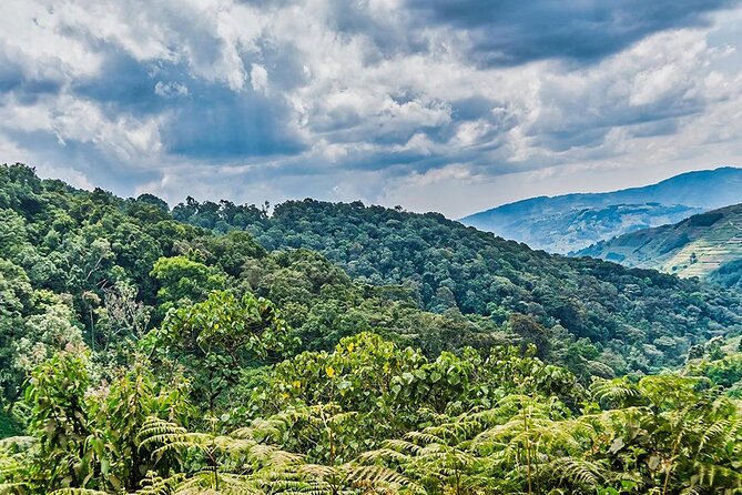 Multi Day Private Gorillas and Chimpanzee Trekking Tour in Uganda - Day 4: Crater lakes, Queen Elizabeth, Ishasha, and Bwindi