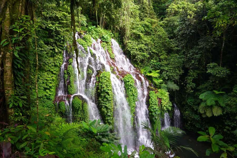 Munduk: Banyu Wana and Sekumpul Waterfall Trekking Tour - Why Munduk makes a good base for a waterfall day