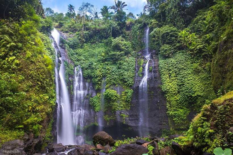 Munduk: Banyu Wana and Sekumpul Waterfall Trekking Tour - A flexible day with real limits