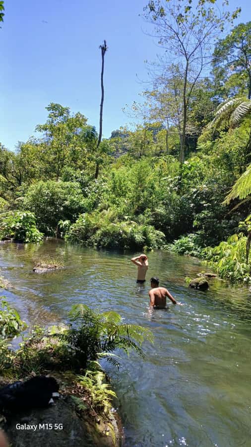 Munduk Jungle Trek to Banyumala & Pucak Manik – Private - Who will enjoy this day most?