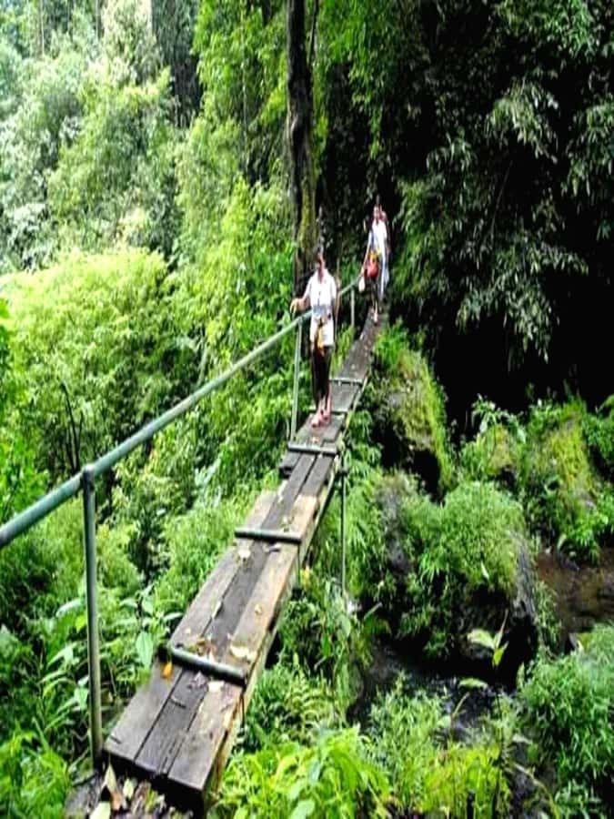Munduk Jungle Trek to Banyumala & Pucak Manik – Private - Why Munduk makes a better hiking base than central Bali
