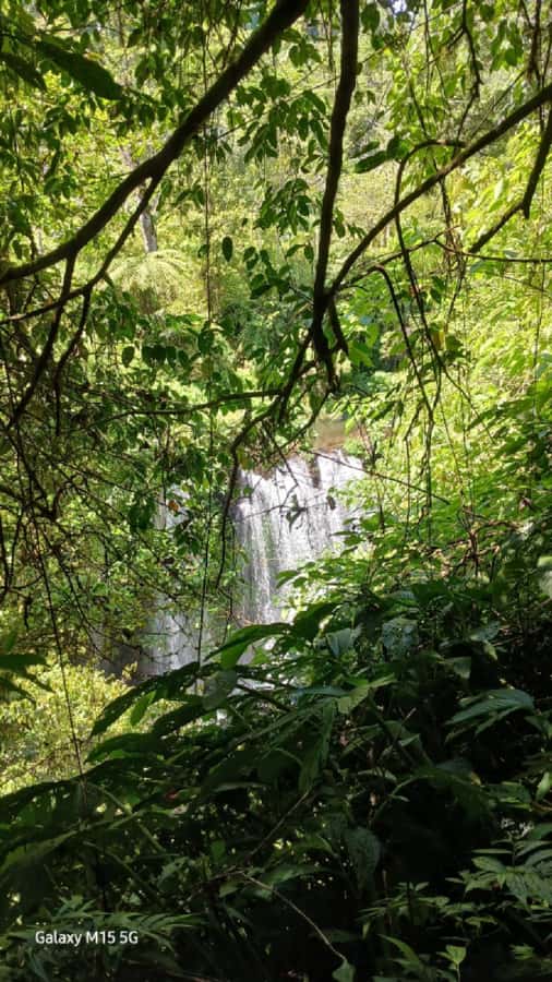 Munduk Jungle Trek to Banyumala & Pucak Manik – Private - Banyumala Twin Waterfalls earns the longest stop