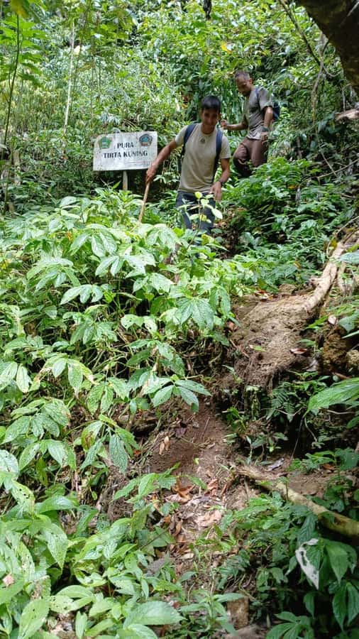Munduk Jungle Trek to Banyumala & Pucak Manik – Private - What the private guide adds