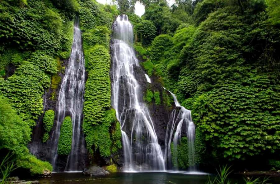 Munduk Jungle Trek to Banyumala & Pucak Manik – Private - Is $33 good value?
