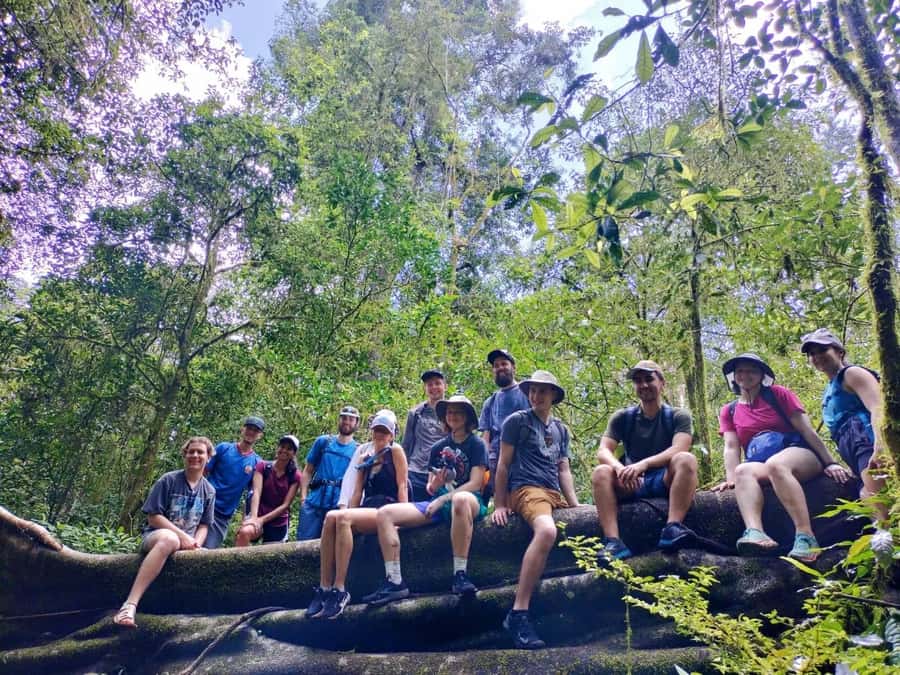 Munduk : Jungle Trekking,Canoeing,waterfall &authentic lunch - Walking into the forest near Lake Buyan and Tamblingan