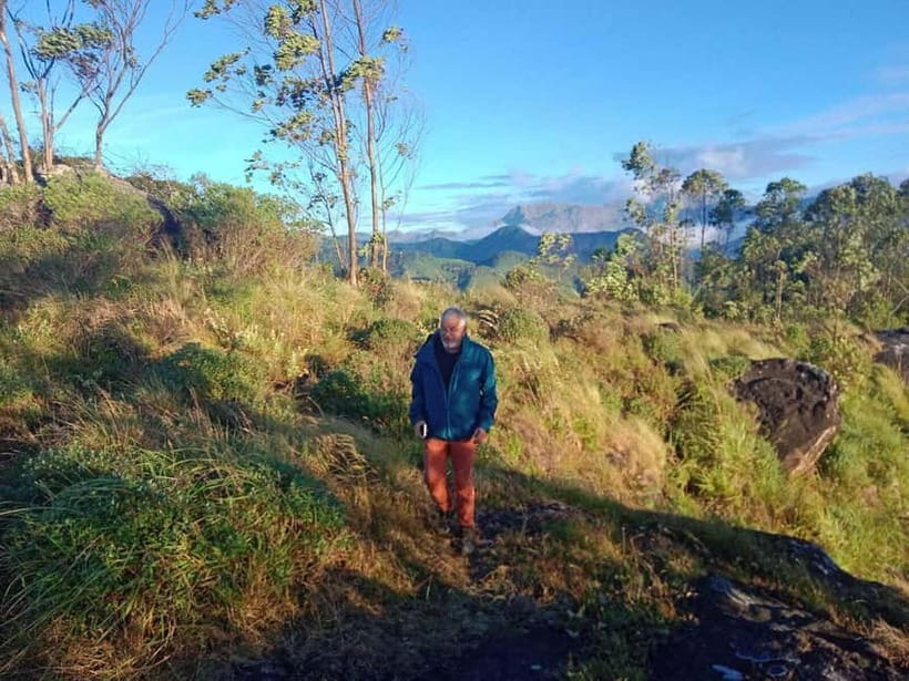 Munnar: Half day Guided Trek - Forest paths, plants, and possible wildlife