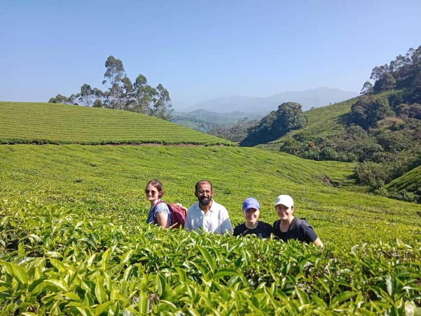 Munnar: Half day Guided Trek - From old crops to Munnar tea