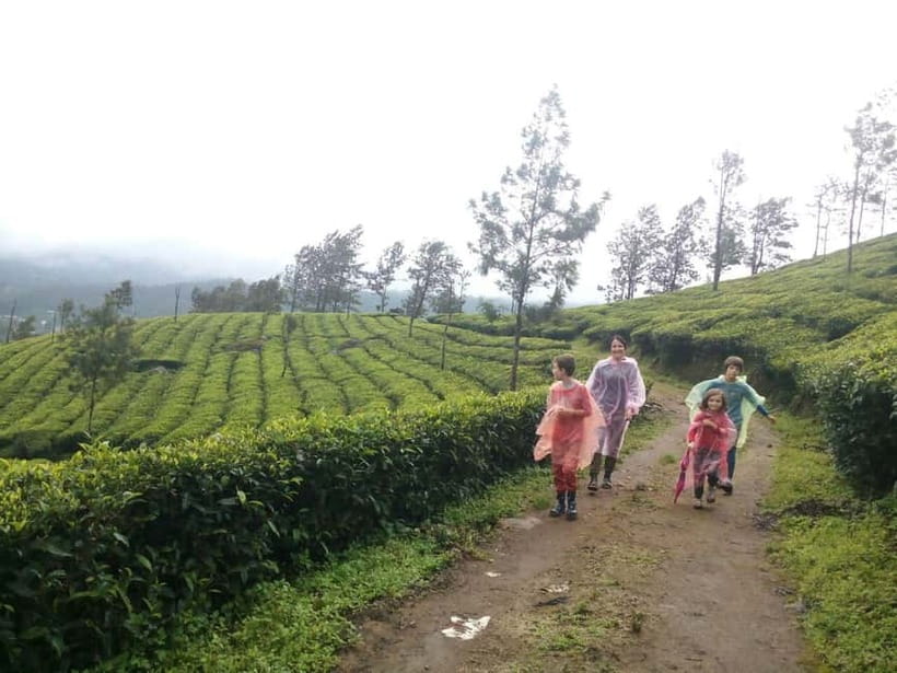 Munnar: Sunrise Trekking Adventure with Breakfast - Why this sunrise trek is worth considering