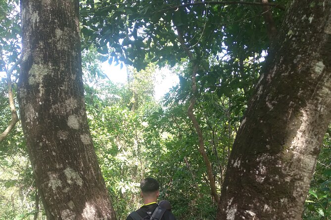 My Son sanctuary and mountain trekking - Transport, timing, and the long morning