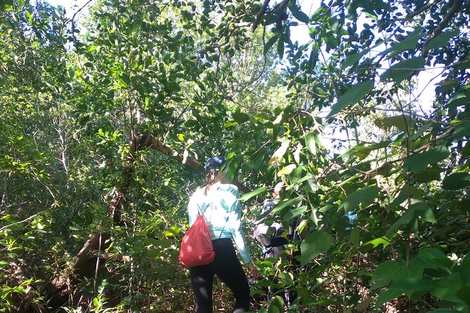My Son sanctuary and mountain trekking - Who will enjoy this combination best