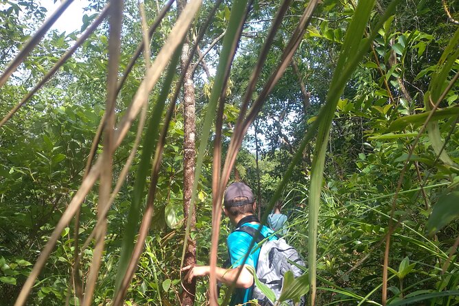 My Son sanctuary and mountain trekking - Booking, cancellation, and practical checks