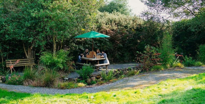 N. Ireland: Award Winning Guided Scenic Alpaca Trekking - The best photo moments along the way