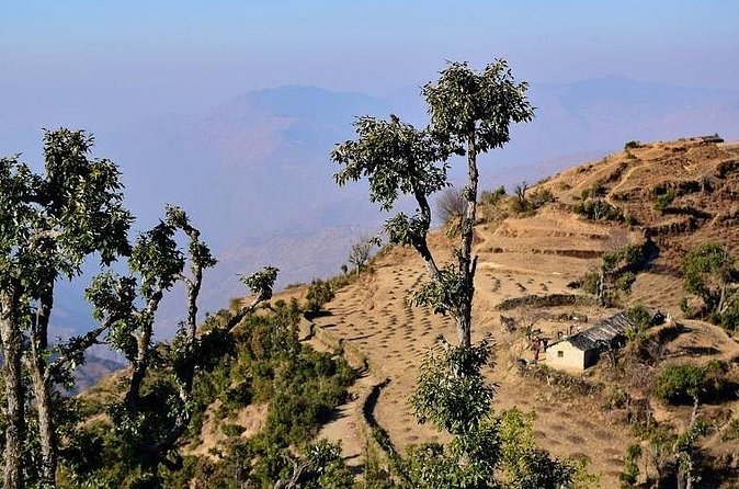 Nag Tibba 2 Days Trek (Pantwari to Pantwari) - What the $24 price really offers