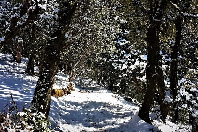 Nag Tibba 2 Days Trek (Pantwari to Pantwari) - Who will enjoy this trek most
