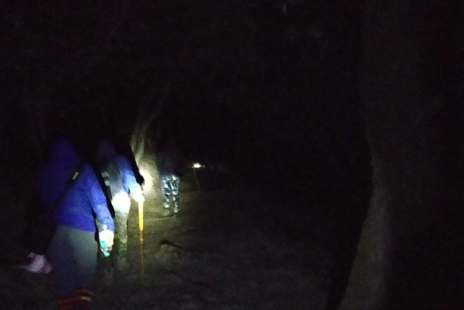 Nagtibba Trek (Pantwari to Pantwari) - Why Nag Tibba works for a first trek