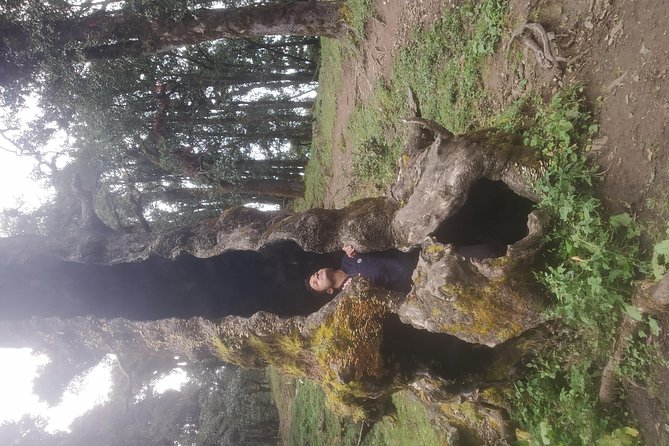 Nagtibba Trek (Pantwari to Pantwari) - Food, guides, and the human side of the trek