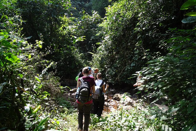 Nalan Trail Kmu Ethnic Experience - 2days forest trek with homestay. - Day two begins with village routines