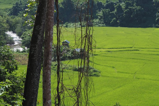 Nalan Trail Kmu Ethnic Experience - 2days forest trek with homestay. - The overnight choice: family homestay or riverbank lodging