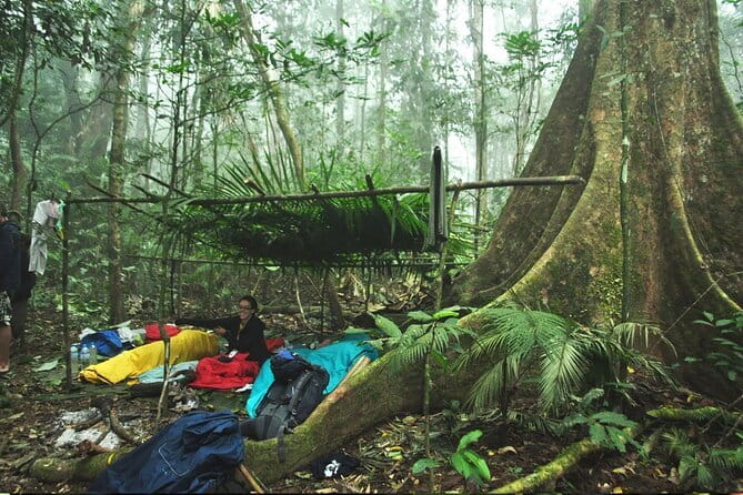 Nam Ha NPA 3 Day Wildlife Jungle Camp and Village Homestay Trek - Key points at a glance