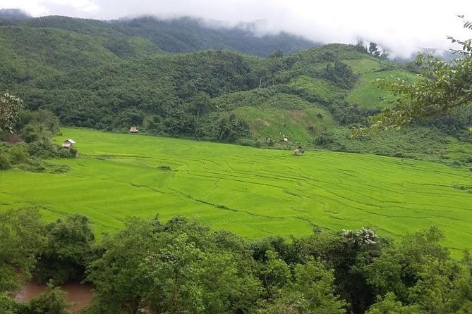 Nam Ha NPA 3 Day Wildlife Jungle Camp and Village Homestay Trek - How hard is the trek?