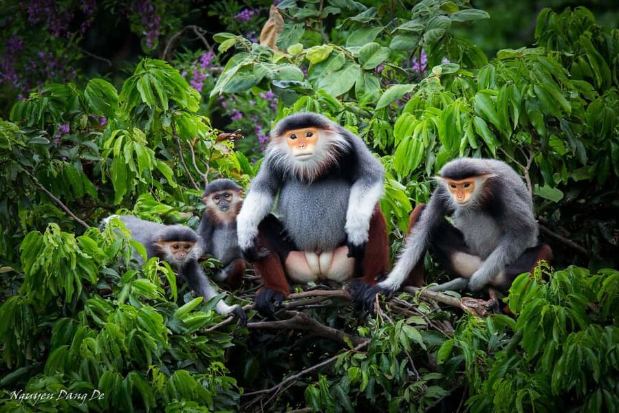 Ninh Binh: Cuc Phuong Jungle Trek, Wildlife & Ancient Caves - Key points at a glance