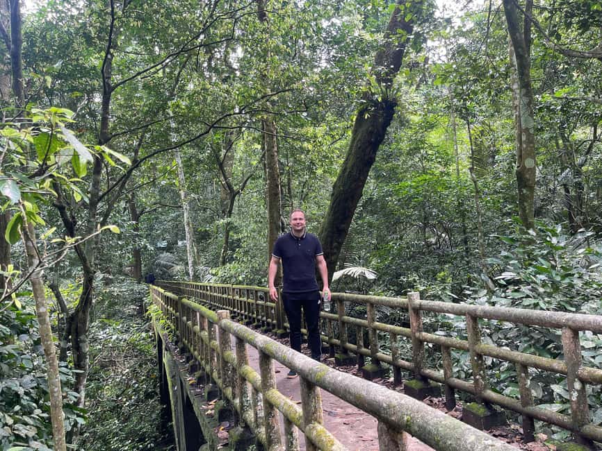 Ninh Binh: Cuc Phuong Jungle Trek, Wildlife & Ancient Caves - Walking beneath Cuc Phuong’s old trees