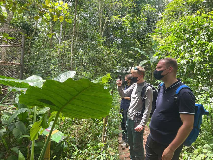 Ninh Binh: Cuc Phuong Jungle Trek, Wildlife & Ancient Caves - What the $24 price really covers