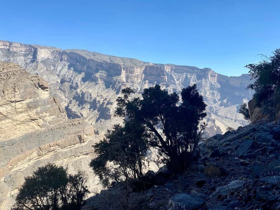 Nizwa: Jebel Shams Balcony Walk and Via Ferrata Adventure - A short but serious via ferrata