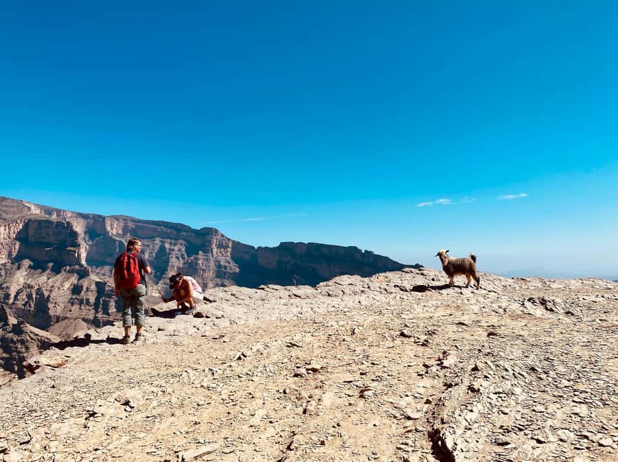 Nizwa: Jebel Shams Balcony Walk and Via Ferrata Adventure - The best time and the physical demands