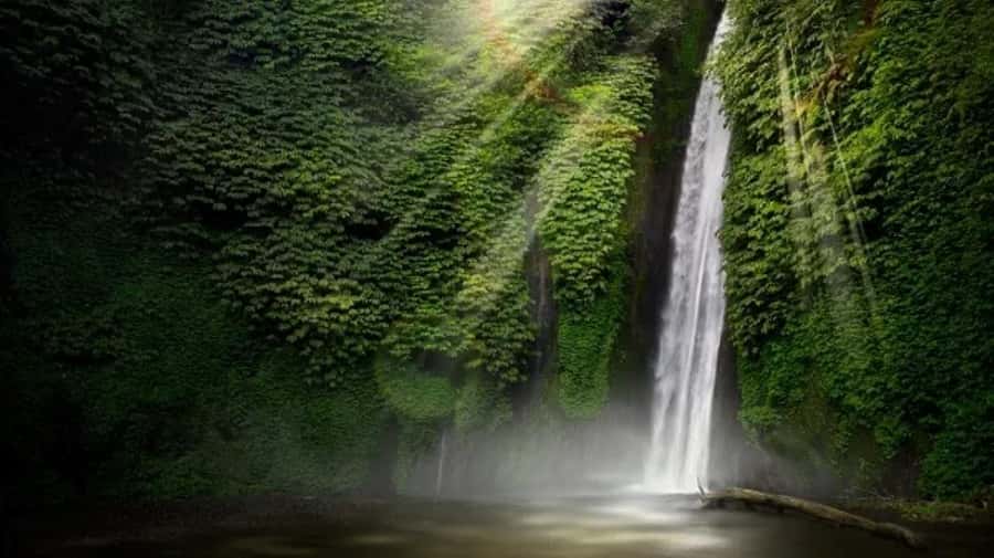 North Bali: Explore Munduk Waterfall Trekking Experience - The four waterfalls, from forest entrance to quiet finale