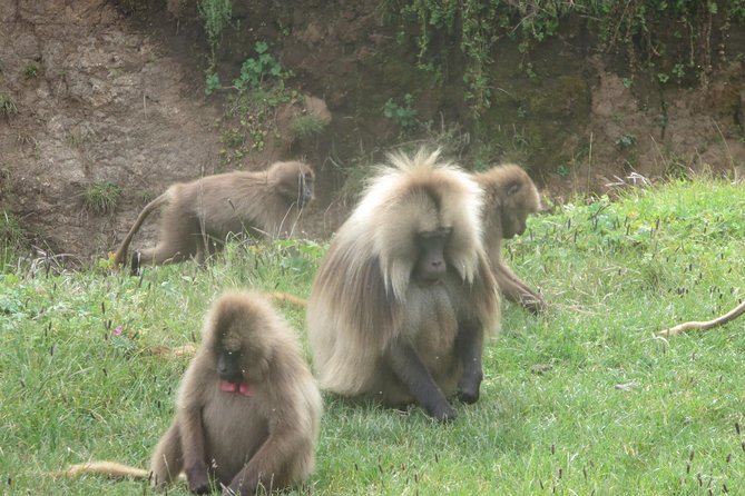 Northern Ethiopia & Trekking Simien Mountains , 10 Days - Lalibela puts sacred architecture at the center