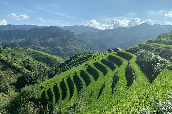 Number one top rated ethical cultural trekking and homestay by ETHOS - The overnight stay in a Sapa village
