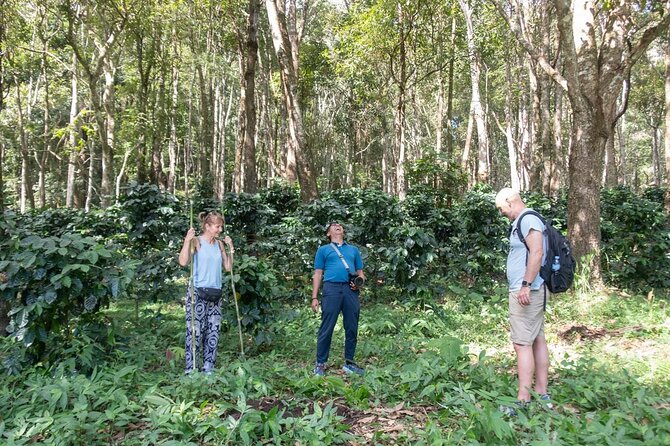 Off the Map Chiang Mai Jungle Coffee Trek Roast and Brew - Roasting green beans over controlled heat