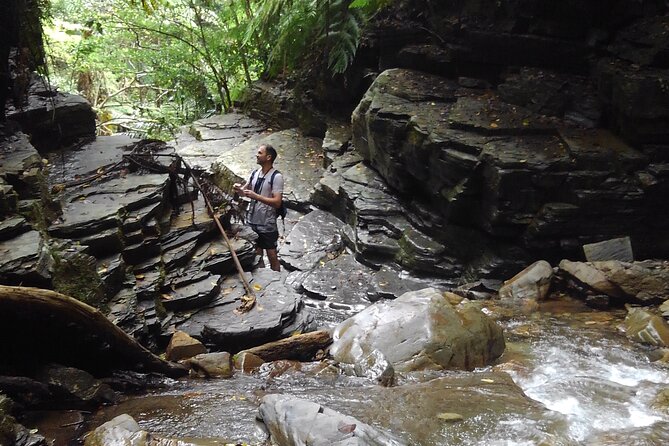 Okinawa Jungle Trails & Waterfalls – Private Yanbaru Tour - Key points to know before booking