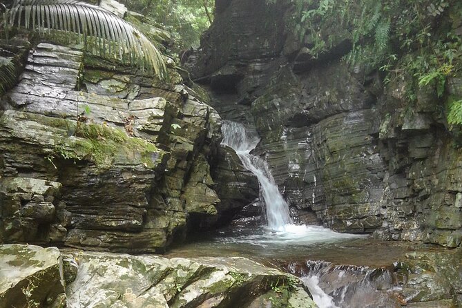 Okinawa Jungle Trails & Waterfalls – Private Yanbaru Tour - Why guide Nik makes a difference