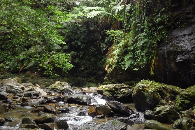 Okinawa Jungle Trails & Waterfalls – Private Yanbaru Tour - What $69.02 buys you