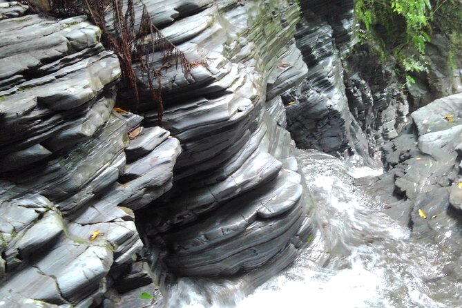 Okinawa Jungle Trails & Waterfalls – Private Yanbaru Tour - Who will enjoy this most