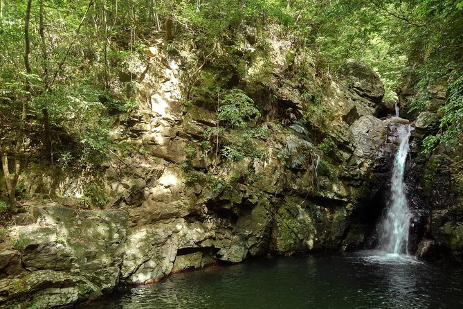 Okinawa Jungle Trails & Waterfalls – Private Yanbaru Tour - Two ways to tackle the waterfall route