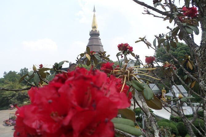 One day Doi Inthanon National Park & Trekking on Kew Mae Pan - Is $161.99 a Fair Price?