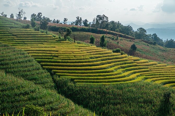 One day Doi Inthanon & Trekking at Pha Dok Siew - The King and Queen Stupas