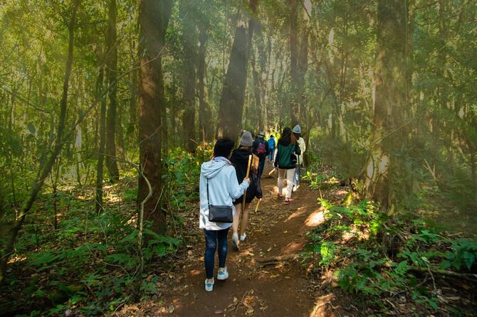 One day Doi Inthanon & Trekking at Pha Dok Siew - Wachirathan Waterfall and the force of mountain water