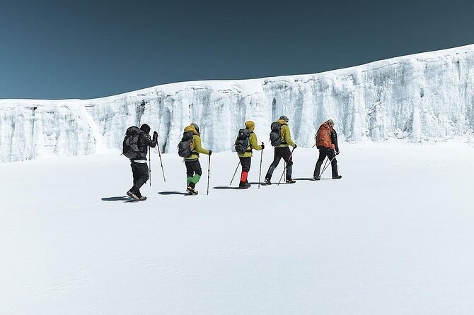 One Day Hike from Kilimanjaro to Mandara - Why Mandara Hut Makes a Good Kilimanjaro Day Hike