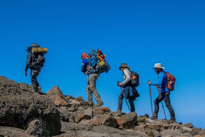 One Day Hike from Kilimanjaro to Mandara - Starting in Arusha at Sakina Lounge