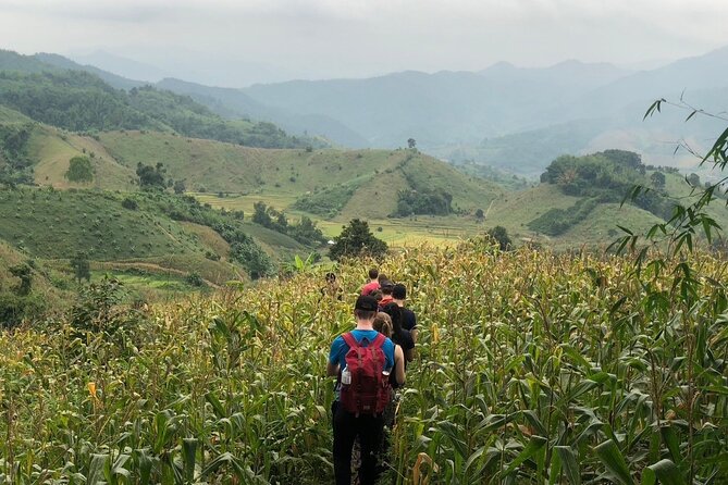 One Day Trekking Chiang Rai Jungle Adventure and Bamboo Cooking - Bamboo cooking makes this more than a forest walk