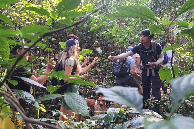 One Day Trekking Chiang Rai Jungle Adventure and Bamboo Cooking - Lisu village: a first look at local life